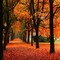 Falling Leaves Fragrance Oil (Our Version of the Brand Name) (1 oz Bottle) for Candle Making, Soap Making, Tart Making, Room Sprays, Lotions, Car Fresheners, Slime, Bath Bombs, Warmers…